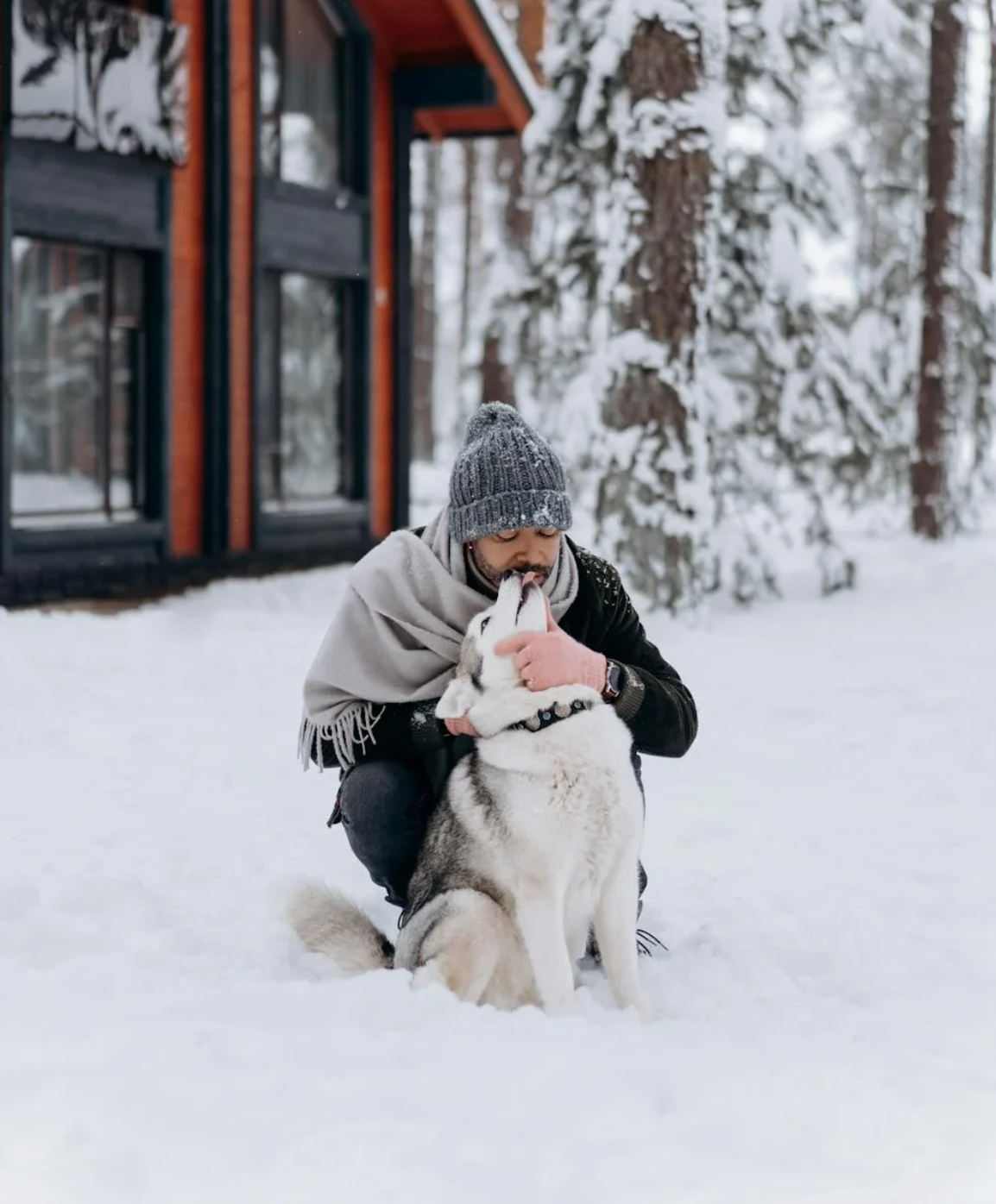 Dog-friendly cabins
